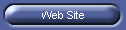 Web Site